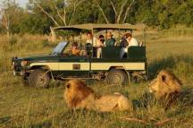 Safari-in-Botswana