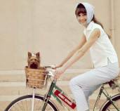 bicicletta-audrey