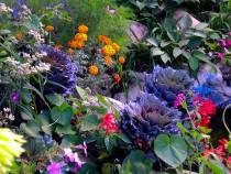 fiori1