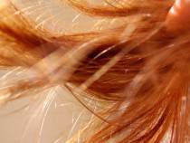 mechon_pelo-500x375