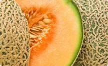 melone_del_delta_del_po