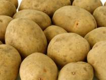 patate-480x360