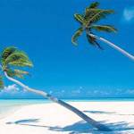 I tropici per i viaggi di nozze dei Vip