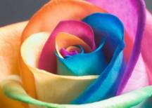 uid_11f4282d39c.580.0