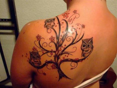 12dbfd53c205fea2a4dd5f34a342aa2d