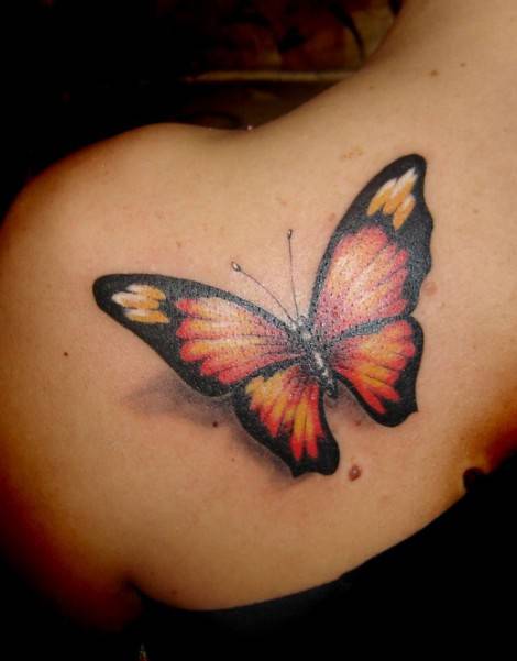 17ca0fad10a1688cf3916f3aed23ba50