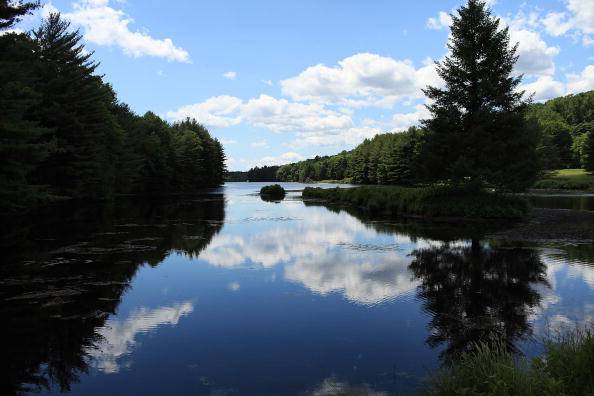 New Study Finds New England's Forests Threatened By Development