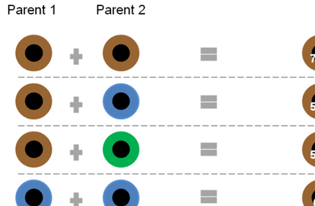Il Colore Degli Occhi Nel Neonato