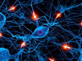 Neurone, sistema nervoso (Thinkstock)