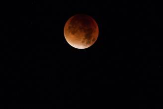 La fase iniziale dell'eclissi di Super Luna (Matt Cardy/Getty Images)