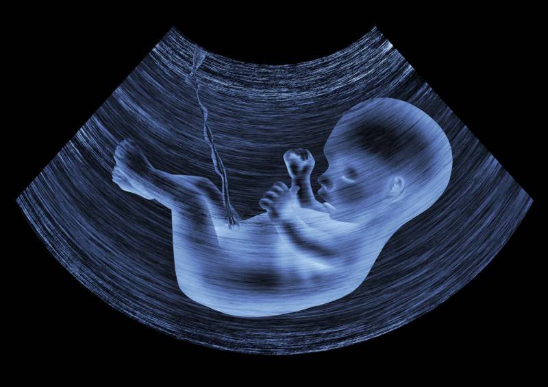 feto 27 settimana