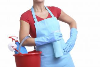 Cleaning Woman With Bucket and spray