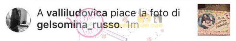 13978224_10210183421971759_1766751502_o1