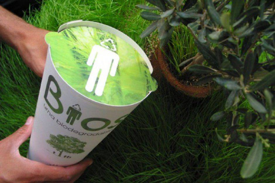 Urne biodegradabili per poter rinascere dalle ceneri e diventare albero!