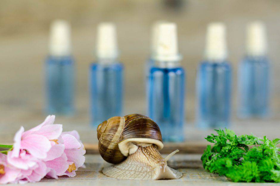 Snail climb the glass bottle of blue surrounded by flowers and greenery