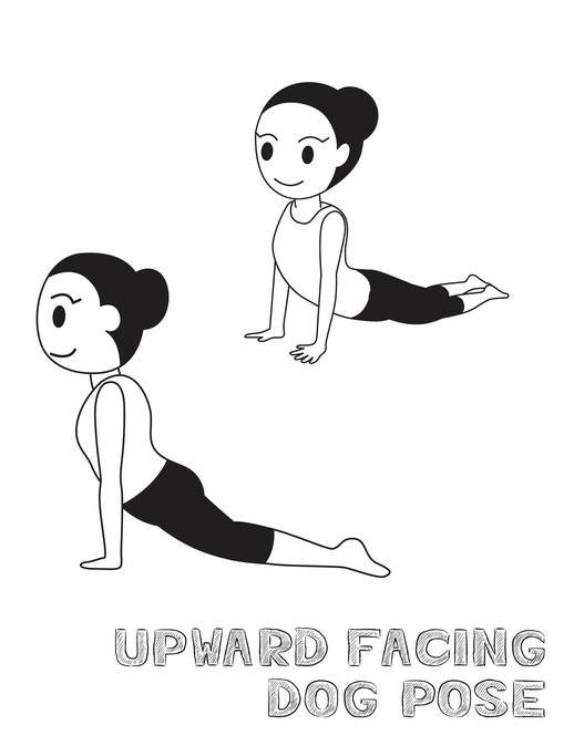 12 posizioni base yoga