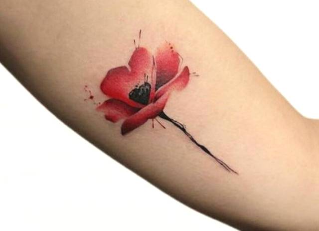 tatoo papavero