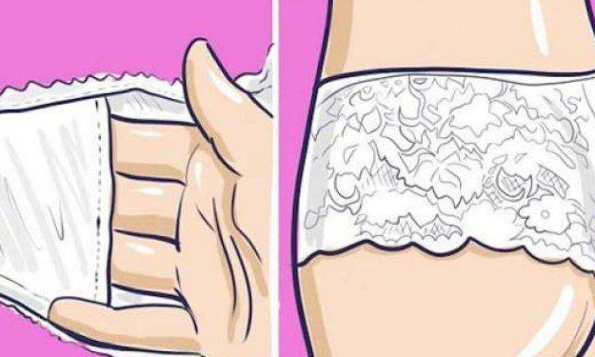 Slip Femminili Tasca Interna Slip A Cosa Serve 555 Orione Slip Per