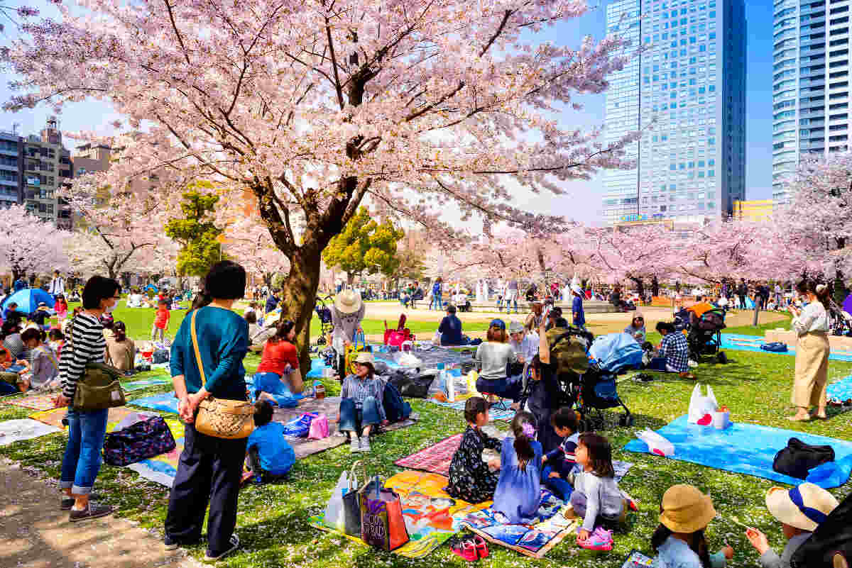 Hanami in Giappone