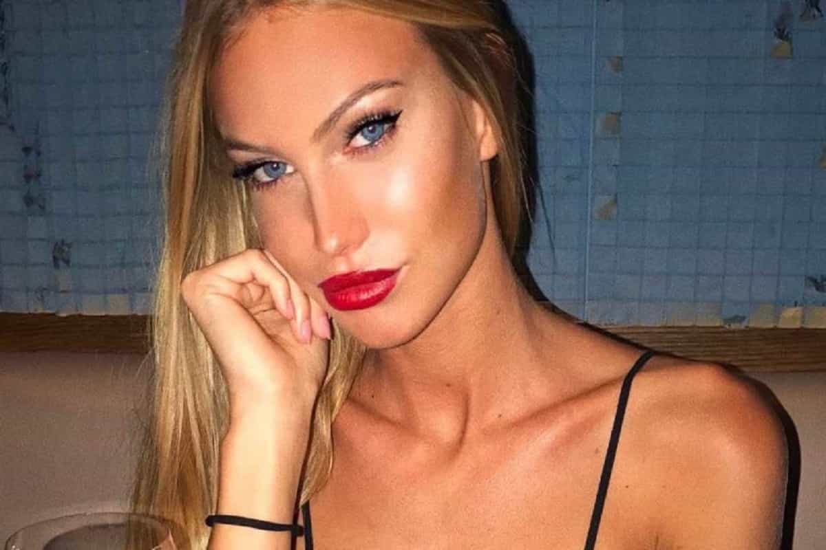 taylor mega