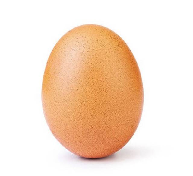 foto uovo virale