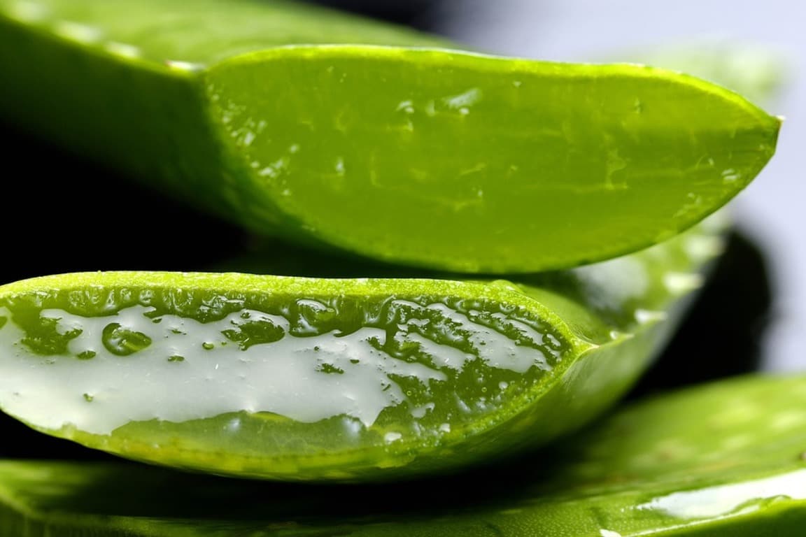 aloe vera rosacea