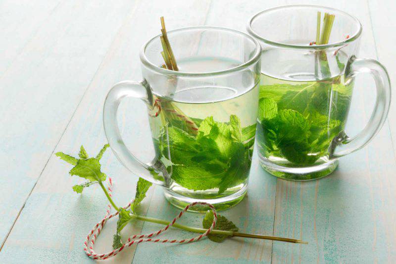 benefici tè verde alla menta