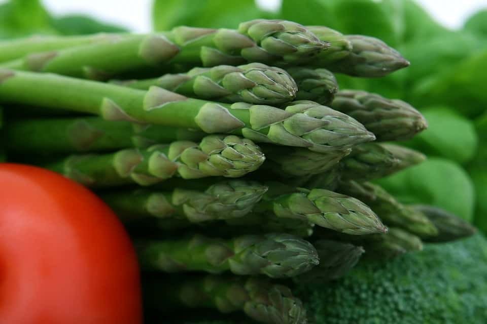 ricette con asparagi