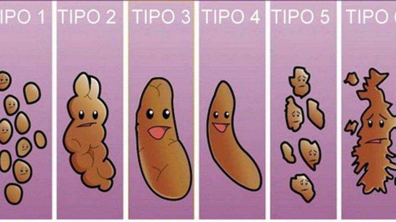 Feci E Salute Cosa Rivela Laspetto Delle Feci Sulla Salute