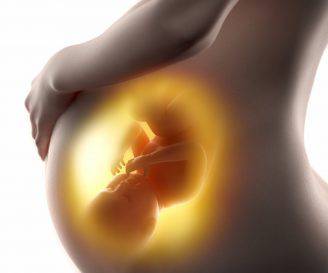 sviluppo del feto alla 29 settimana 