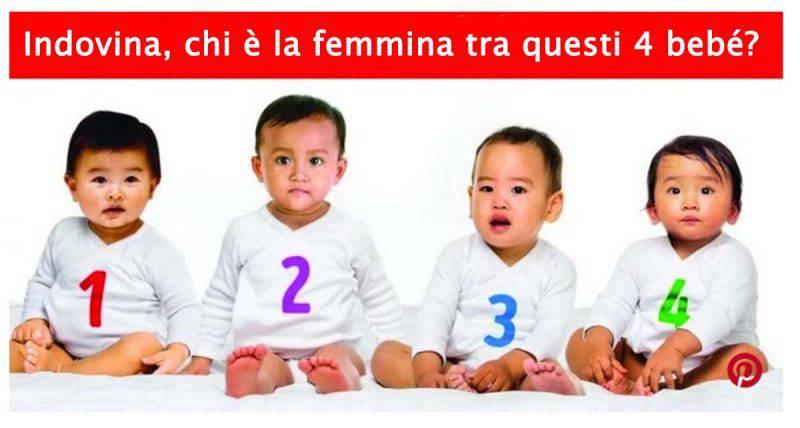 Chi è Riuscito A Concepire Una Femmina
