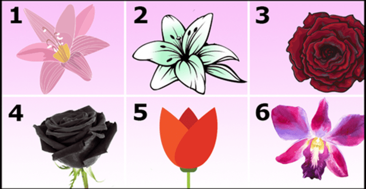 Test: il fiore che scegli rivela un segreto sulla tua personalità
