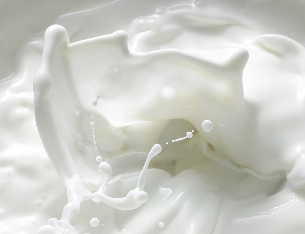 bere latte tutti i giorni ecco cosa succede al tuo corpo