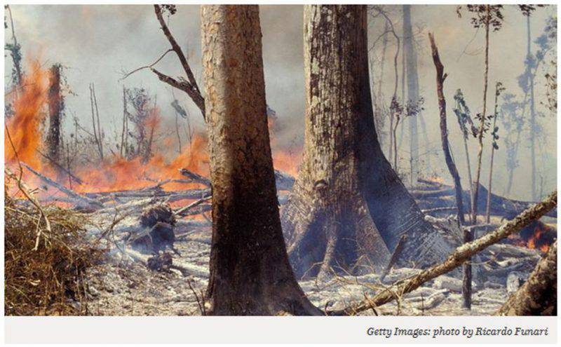 Perché gli incendi boschivi in Amazzonia sono una minaccia per l'umanità?