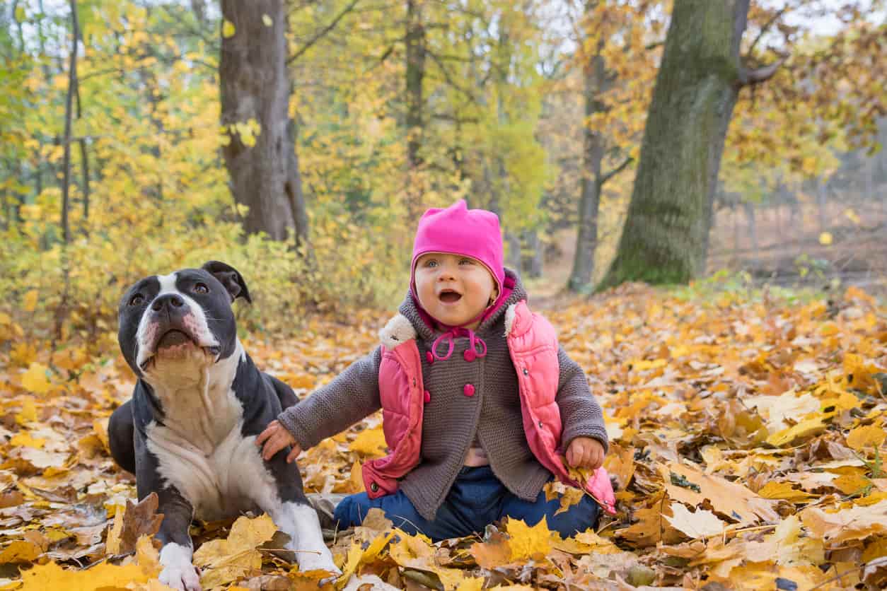 convivenza cani e bambini, tutti i consigli e i benefici