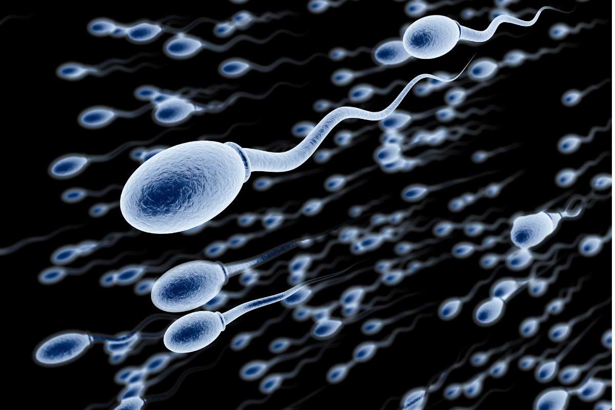 Indissolubilità del matrimonio - Pagina 3 Illustration-of-sperms-swimming-on-a-black-background-picture-id136207690-1