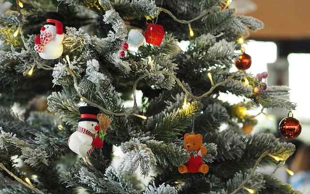 Come scegliere l'albero di Natale