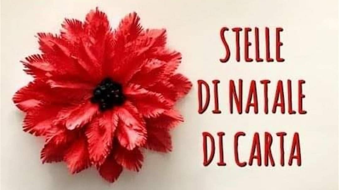 Stella Di Natale In Feltro Fai Da Te.Natale Fai Da Te Come Realizzare Una Stella Di Natale Di Carta Video