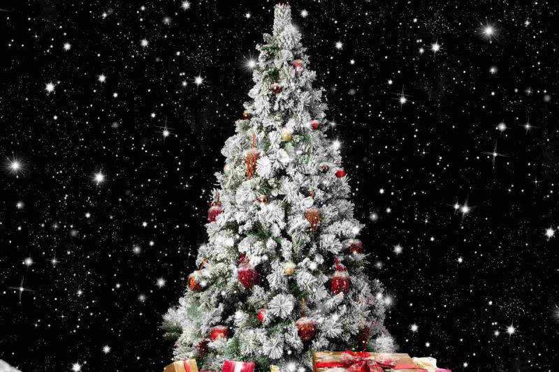 Decorazioni Albero Di Natale Con Foto.Albero Di Natale Con Decorazioni Rosse Un Classico Delle Festivita