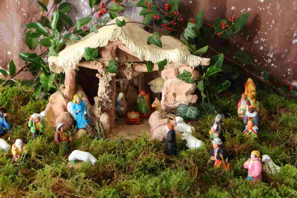 Muschio Per Il Presepe Consigli Per Raccoglierlo E Farlo Essiccare