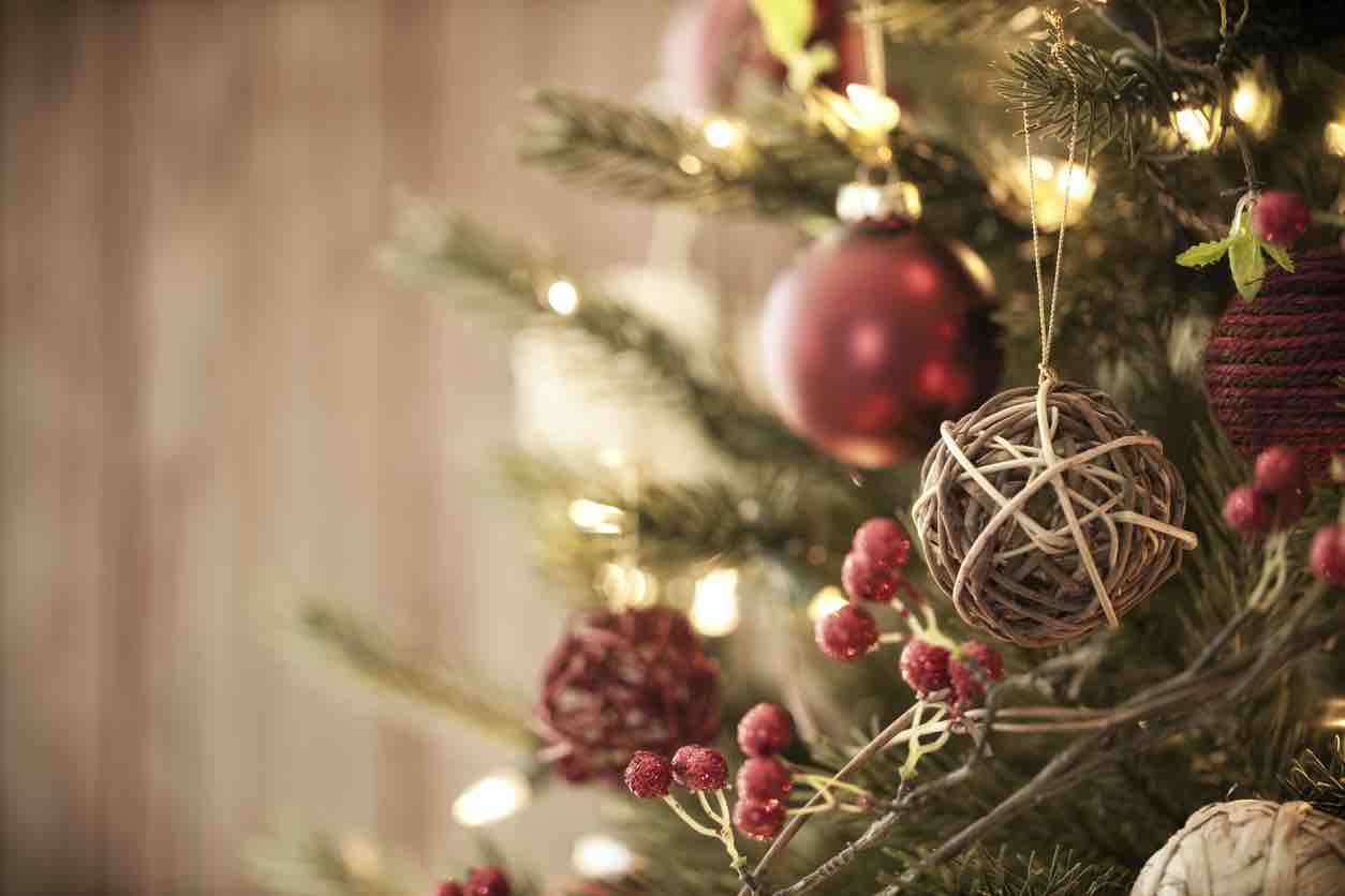 Foto Alberi Di Natale In Casa.La Coppia Che Vive Con 350 Alberi Di Natale In Casa
