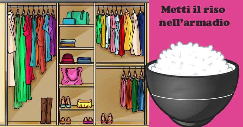 Riso utilizzi alternativi