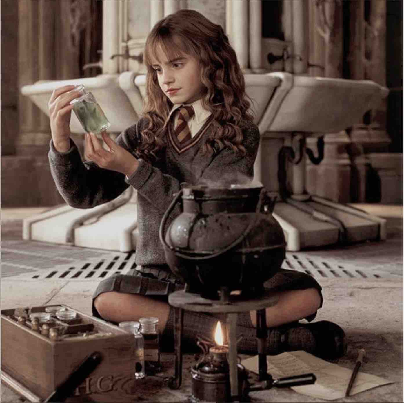 Hermione Harry Potter