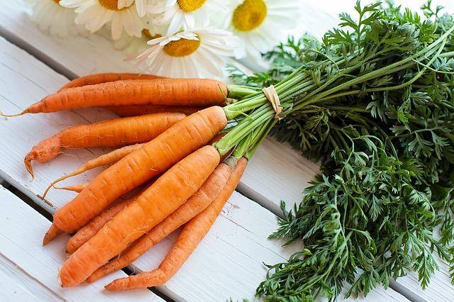 Ricette con le carote 