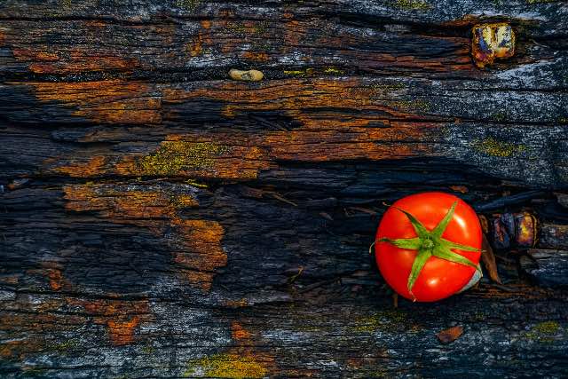 Quando congeli i pomodori