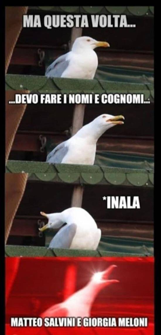 Meme Conte Gabbiano