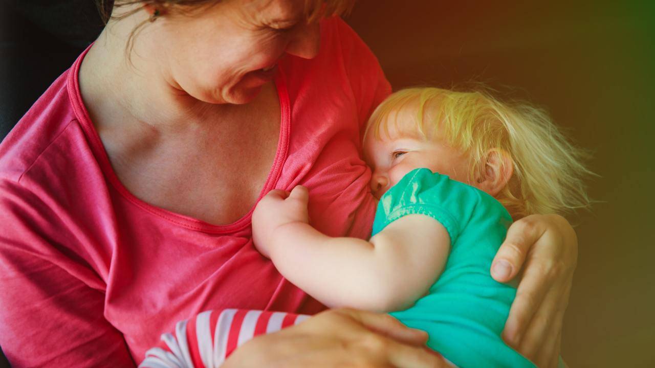 Allattamento prolungato al seno una scelta che divide Allattamento prolungato al seno una scelta che divide