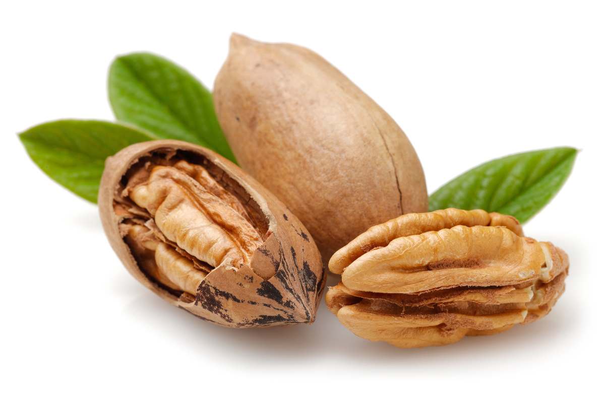 Noci pecan