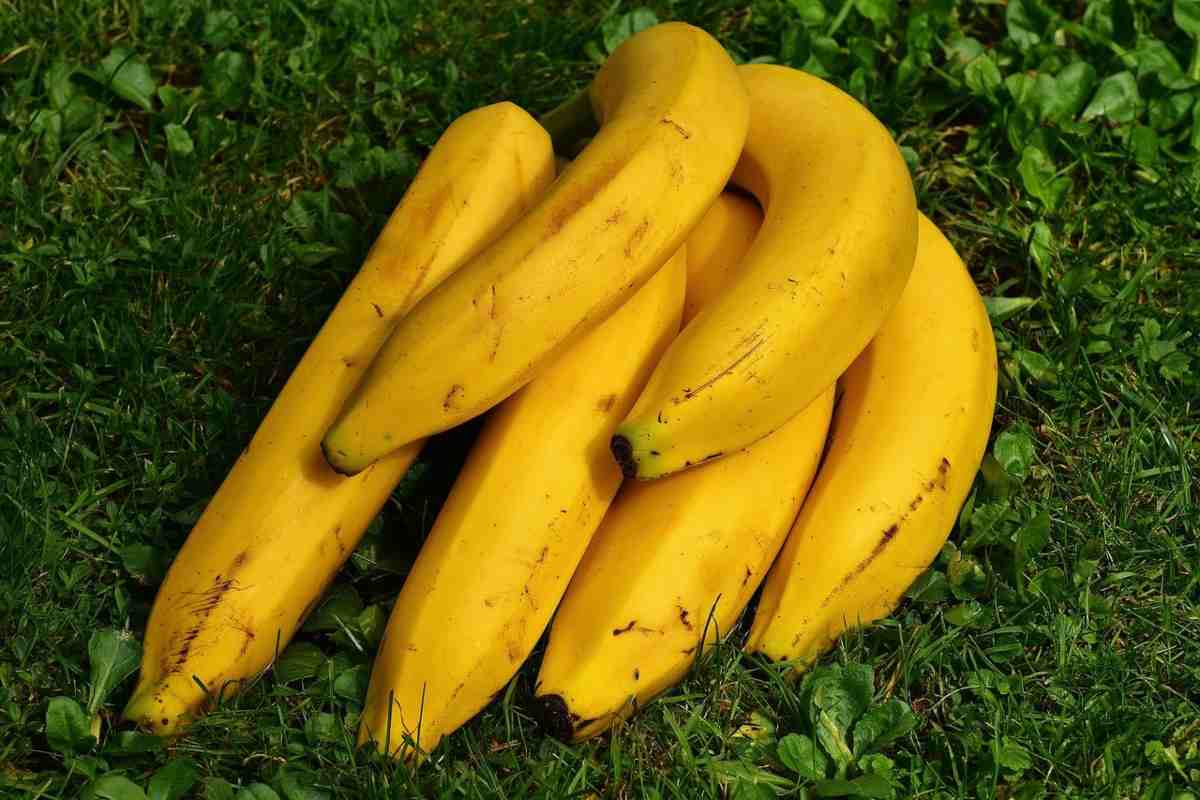 Banane ricetta
