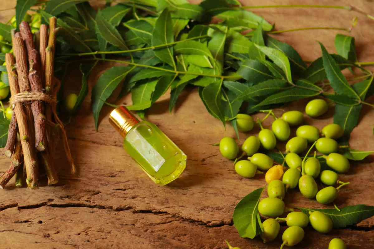 Olio di Neem | 8 utilizzi che forse non conosci 